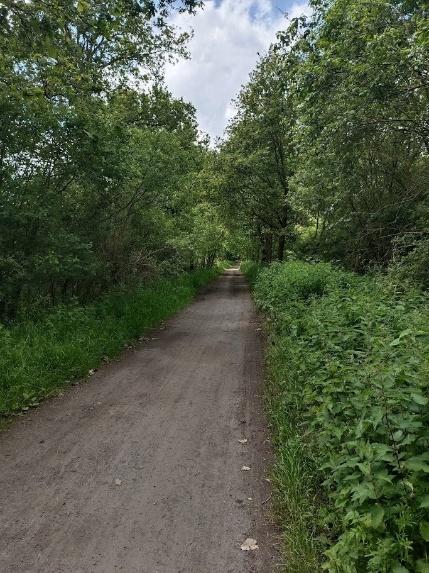 Cycling the Forest and Fields route near Bruges — scene 2