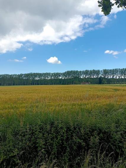 Cycling the Forest and Fields route near Bruges — scene 1
